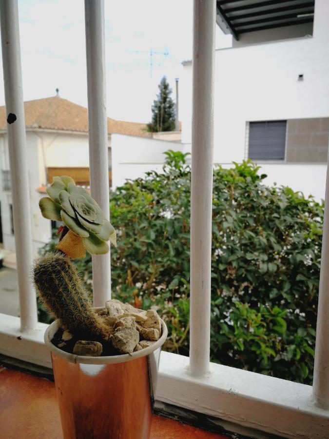Ca' Vaschino Appartement